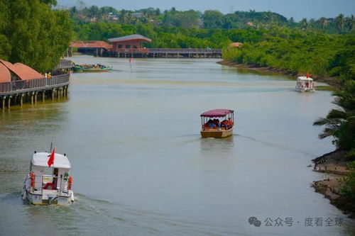 生态旅游和传统旅游的区别,走进生态旅游,探索未知的自然之美