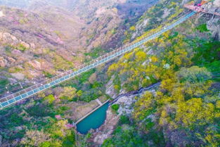 回家吧 七峰山清明节 1元爱心午餐 在家等你归